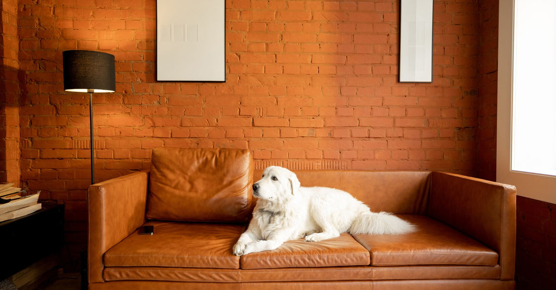 The Pros and Cons of the Four Most Common Furniture Fabrics!
