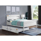 Cargo - Bed