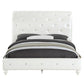 Dorothy - Bed