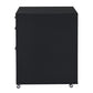 Coleen - File Cabinet