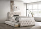 Poundex F9517T youth bed