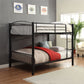Cayelynn - Bunk Bed