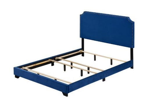 Haemon - Queen Bed - Blue Velvet