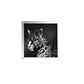 Talisha - Wall Art - Mirrored & Faux Crystal Leopard