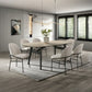 Lark - Side Chair (Set of 2) - White / Black