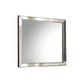 Voeville II - Mirror - Platinum