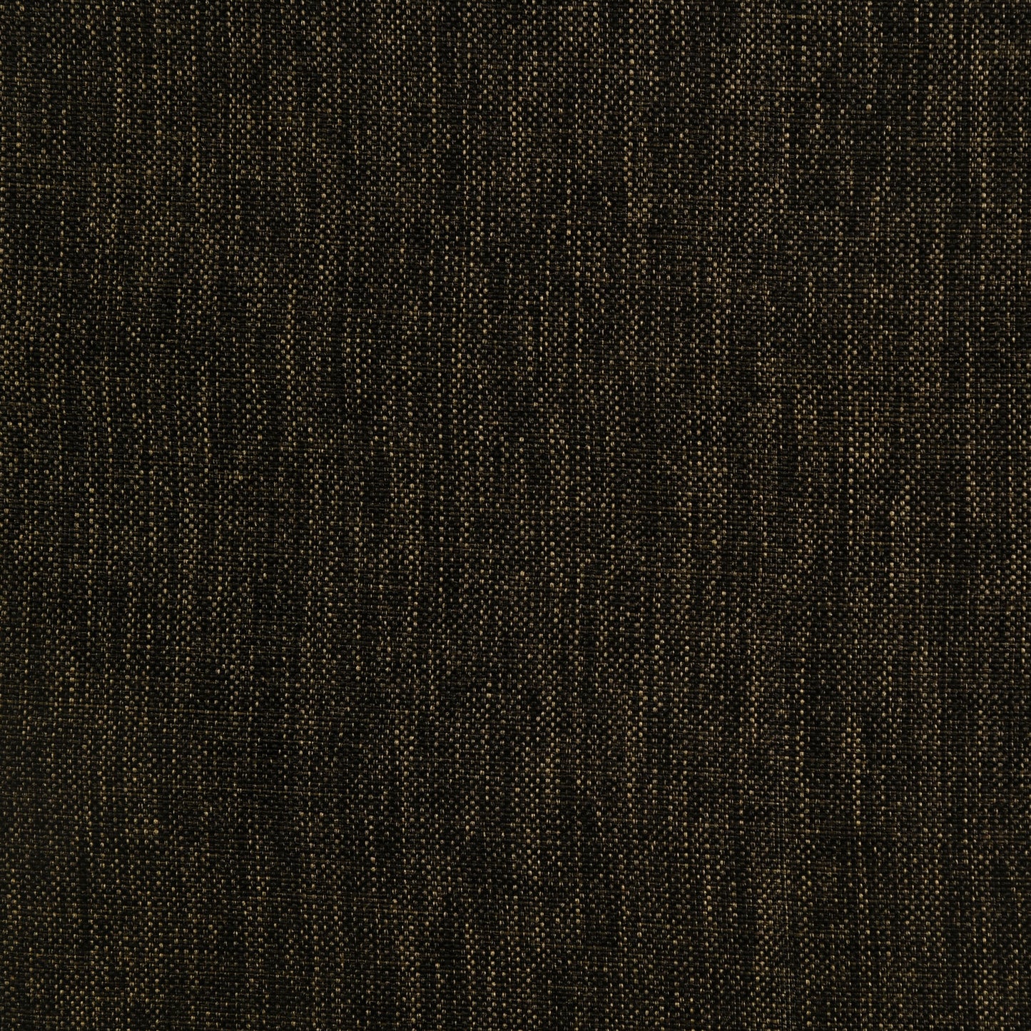 Malone Padded Wood Dining Arm Chair Dark Walnut (Set of 2)