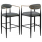 Tina Fabric Upholstered Bar Chair Grey (Set of 2)