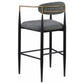 Tina Fabric Upholstered Bar Chair Grey (Set of 2)