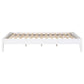 Hounslow Queen Universal Platform Bed White