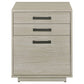 Loomis 3-drawer Home Office File Cabinet Whitewashed Grey