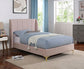 Pearl - Twin Bed