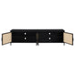 Amherst 4-door 78-inch Metal TV Stand Media Console Black