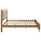 Robyn Wood Queen Platform Bed Light Ash