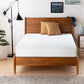 Artemisia - 12" Memory Foam Mattress