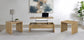 Canoga 3-piece Lift Top Cocktail Coffee Table Set Mango