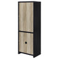 Denison 67-inch 2-door Media Tower Storage Cabinet Black