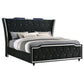 Lorient Eastern King LED Upholstered Bed Black