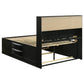 Briana 4-piece Queen Bedroom Set Black