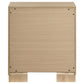 Arielle 2-Drawer Nightstand with Concealed Casters Light Oak