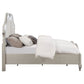 Evangeline Wood Eastern King LED Panel Bed Silver Oak