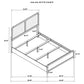 Cavelle 51-inch Upholstered Queen Panel Bed Black