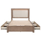 Kenora 56-inch Queen LED Storage Bed Barley Brown