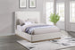 Knox Queen Bouclé Upholstered Platform Bed Cream