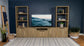 Tabby Farmhouse Media Tower with Adjustable Shelf and 2-Door Storage Mango