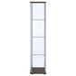 Bellatrix 3-shelf Clear Glass Curio Cabinet Cappuccino