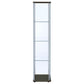 Bellatrix 3-shelf Clear Glass Curio Cabinet Cappuccino