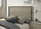 Rainier - 5 Pc Queen Bedroom Set (Panel HB)