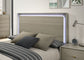 Rainier - 5 Pc Queen Bedroom Set (Panel HB)