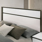 Birsfelden - 5 Pc Queen Bedroom Set
