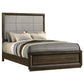 Atlas 64-inch Queen Upholstered Panel Bed Grey and Dark Oak