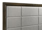 Atlas 64-inch Queen Upholstered Panel Bed Grey and Dark Oak