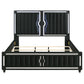 Ravenne Velvet Upholstered Eastern King LED Panel Bed Black