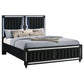 Ravenne Velvet Upholstered Eastern King LED Panel Bed Black