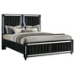 Ravenne Velvet Upholstered California King LED Panel Bed Black