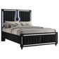 Ravenne Velvet Upholstered Queen LED Panel Bed Black