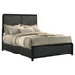 Cavelle 51-inch Upholstered Full Panel Bed Black
