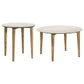 Aldis 2-piece Coffee and End Table Set White