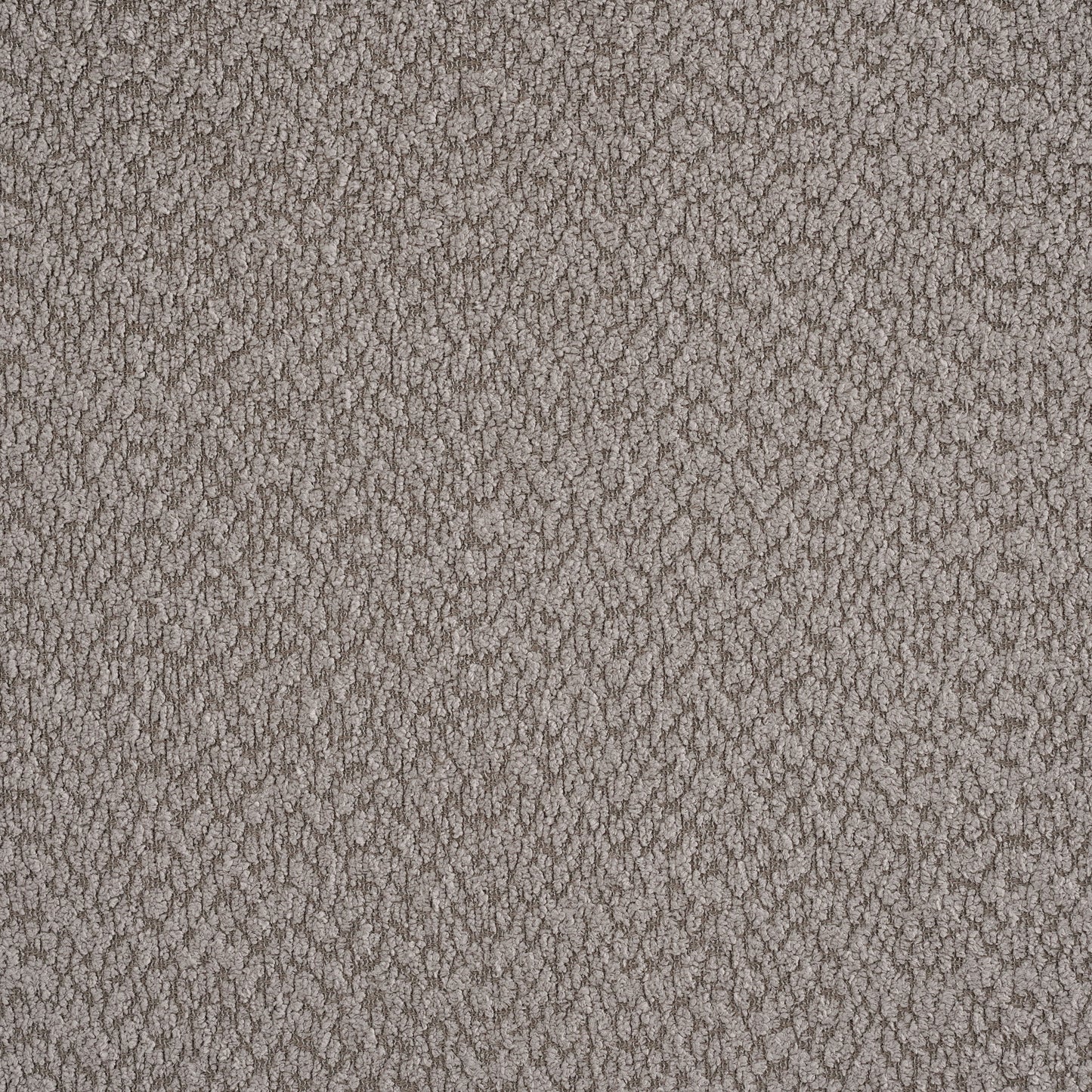 Catkin - Bedroom