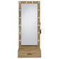 Spector 1-drawer Lighted Full-Length Floor Mirror Mango