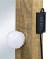 Spector 1-drawer Lighted Full-Length Floor Mirror Mango