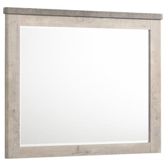 DRESSER MIRROR