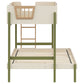 T/F BUNK BED