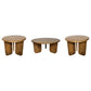 COFFEE TABLE SET