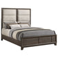 Farre Queen Upholstered Panel Bed Dark Brown